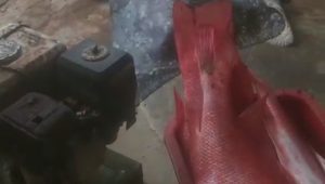 Screenshot 20251007 075913 WhatsAppBusiness