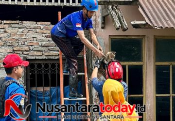 Damkar Pemalang Selamatkan Anak Kucing Yang Terjebak Dua Hari di Atap Bangunan