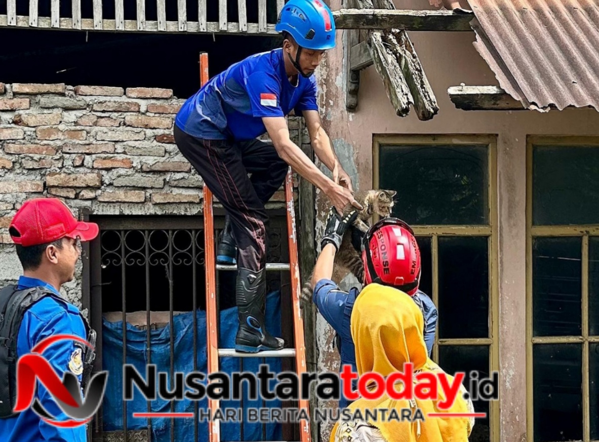 IMG 20260524 215605