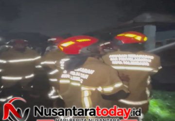Aksi Cepat Tim Damkar Kertapati Taklukkan Si Jago Merah di Pemukiman Kemas Rindo