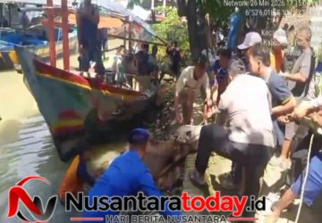 Sapi Kurban 400 Kg Terjun ke Sungai, Satpol Airud Polres Pemalang Turun Tangan Usai Warga Hubungi Call Center 110