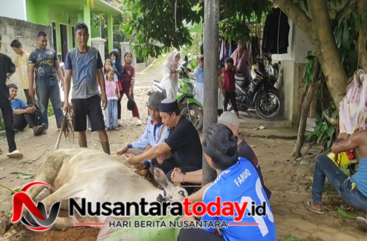 Penuh Kebersamaan, Masjid Al-Hasanah Tanjung Harapan Sembelih 10 Hewan Kurban 6 IMG 20260527 113400