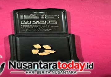 Pengedar Ekstasi Dibekuk di Dermaga Rawajitu Selatan, Polisi Sita 5 Butir Pil Haram