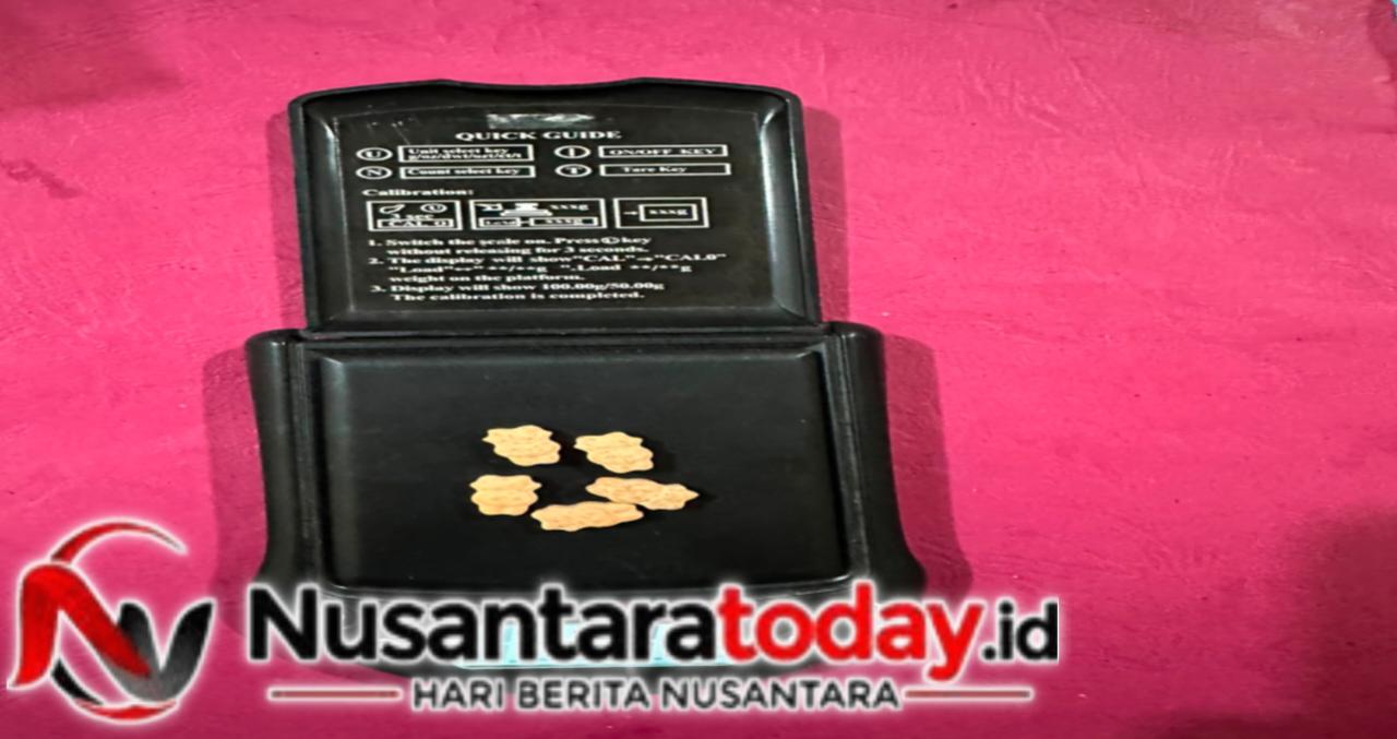 Pengedar Ekstasi Dibekuk di Dermaga Rawajitu Selatan, Polisi Sita 5 Butir Pil Haram 6 IMG 20260623 WA0092
