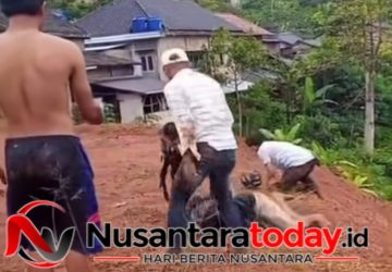 Bak Film Laga, Kanit Reskrim Tabrak Motor Pelaku Curanmor Hingga Bergulat di Dasar Jurang 7 Bak Film Laga, Kanit Reskrim Tabrak Motor Pelaku Curanmor Hingga Bergulat di Dasar Jurang