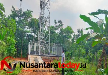 Sengkarut Menara Tak Berizin di Lampung Utara: Nama Raksasa Mitratel Terseret