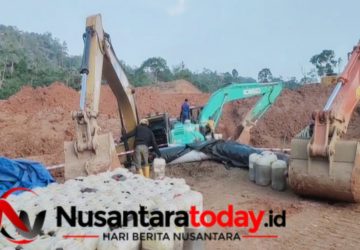 Sorotan Tajam Proyek Geothermal Lampung Barat: Sengkarut Deforestasi, Misteri Pasokan Solar, dan Ironi Ganti Rugi Kopi Rp40 Ribu