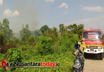 Petugas Damkar Jinakkan Api di Lahan Ciputra Group Palembang Setelah Dua Jam Berjibaku