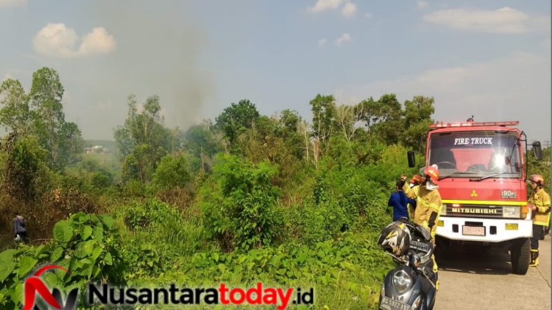 Petugas Damkar Jinakkan Api di Lahan Ciputra Group Palembang Setelah Dua Jam Berjibaku