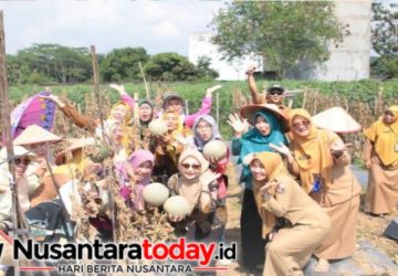 Ketua TP PKK Lampung Utara Borong Melon di Agrowisata BUMDes, Dorong Ekonomi Petani Desa