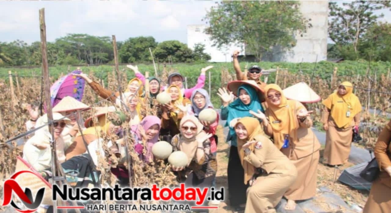 Ketua TP PKK Lampung Utara Borong Melon di Agrowisata BUMDes, Dorong Ekonomi Petani Desa 6 IMG 20260707 WA0037
