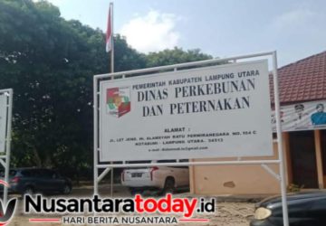 Belanja Swakelola Rp1,9 Miliar di Dinas Perkebunan dan Peternakan Disorot