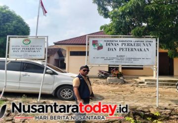 Dinas Perkebunan dan Peternakan Lampung Utara Bungkam, Anggaran Swakelola Rp1,9 Miliar Jadi Sorotan