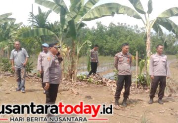 Polres Lampung Utara Cek Lahan Tanam Jagung Serentak