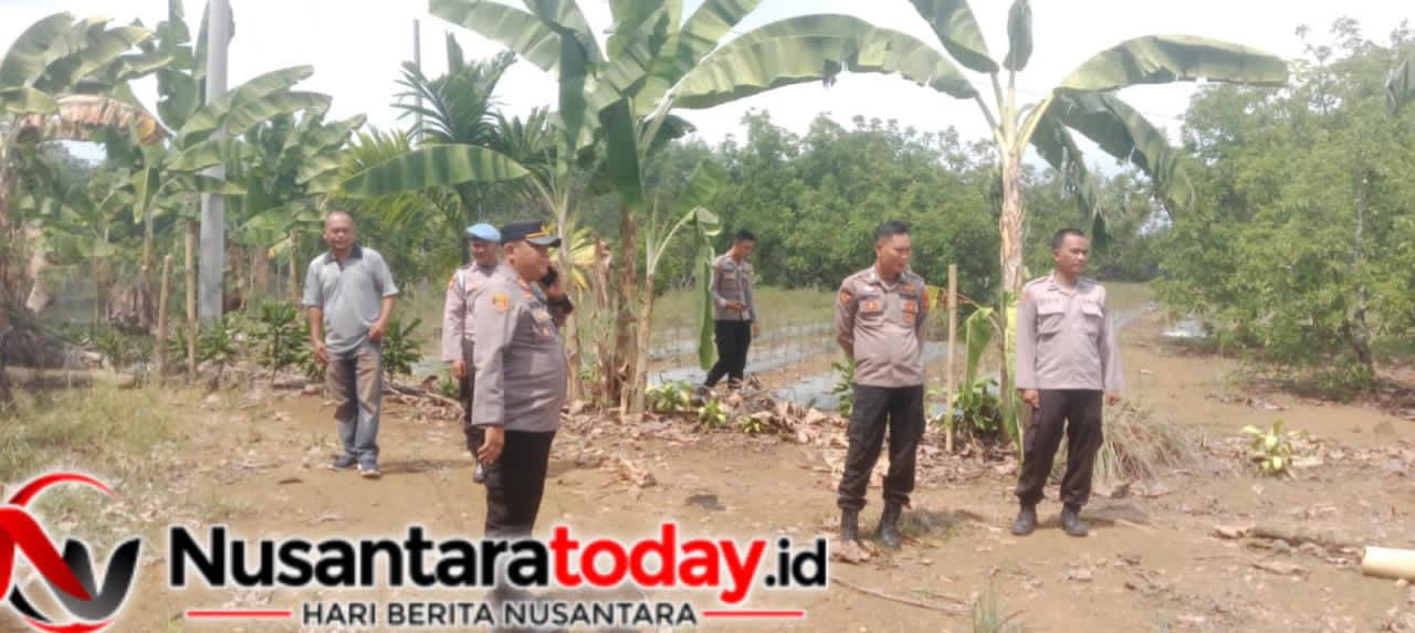Polres Lampung Utara Cek Lahan Tanam Jagung Serentak 6 IMG 20260731 WA0073