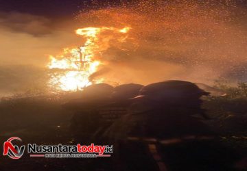 Lahan Setengah Hektar di Alang-Alang Lebar Palembang Terbakar, Damkar Bergerak Cepat
