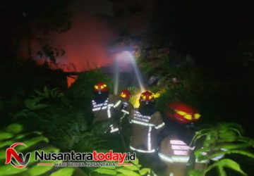 Rumah Kosong dan Lahan di 18 Ilir Palembang Terbakar, Respons Cepat Damkar Cegah Ambatan Api