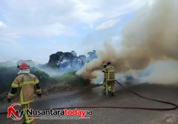 Dua Peristiwa Kebakaran Lahan Landa Palembang dalam Sehari, Puluhan Personel Damkar Baku Hantam Padamkan Api