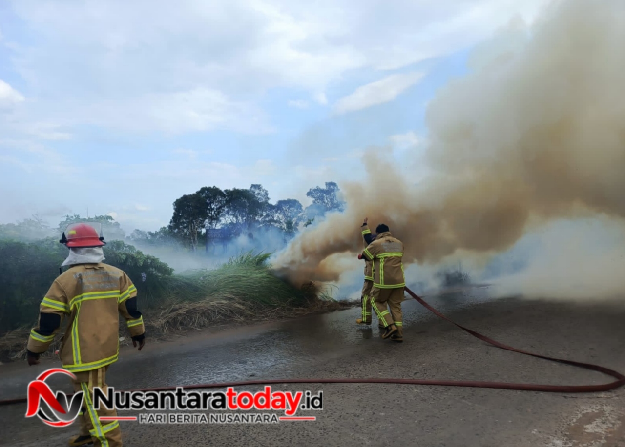 Dua Peristiwa Kebakaran Lahan Landa Palembang dalam Sehari, Puluhan Personel Damkar Baku Hantam Padamkan Api 6 IMG 20260715 213527