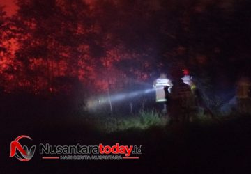 Warga Panik, Jago Merah Lalap 5 Hektare Lahan Kosong di Tanjung Barangan Palembang