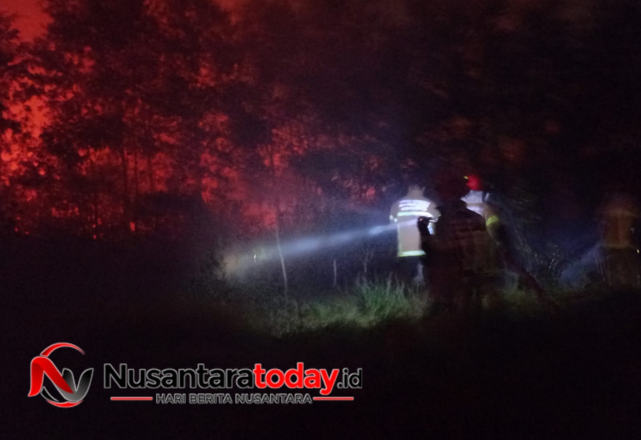 Warga Panik, Jago Merah Lalap 5 Hektare Lahan Kosong di Tanjung Barangan Palembang 6 IMG 20260717 070632