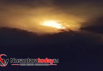 Diduga Akibat Bakar Sampah, Setengah Hektar Lahan di Sukarami Hangus Terbakar