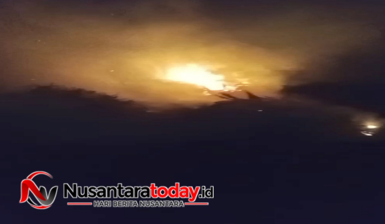Diduga Akibat Bakar Sampah, Setengah Hektar Lahan di Sukarami Hangus Terbakar 6 IMG 20260717 233010