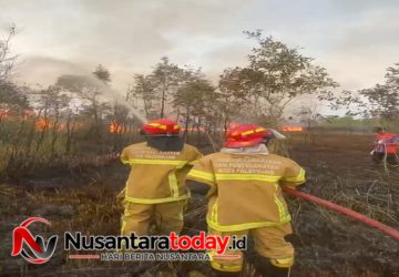 Lahan 2,5 Hektar di Sukarami Palembang Terbakar, Petugas Butuh 2 Jam Padamkan Api 8 Lahan 2,5 Hektar di Sukarami Palembang Terbakar, Petugas Butuh 2 Jam Padamkan Api