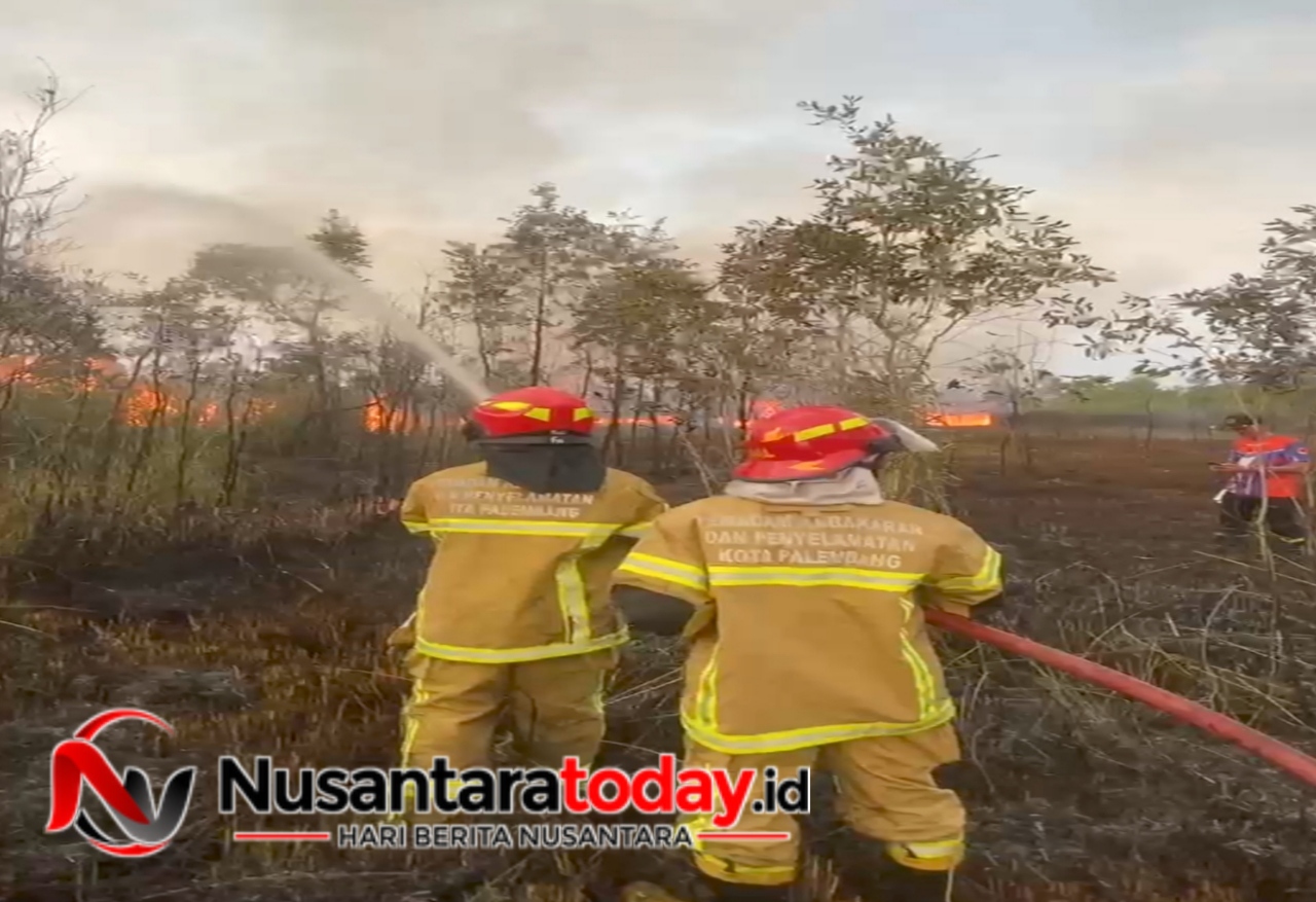 Lahan 2,5 Hektar di Sukarami Palembang Terbakar, Petugas Butuh 2 Jam Padamkan Api 6 IMG 20260726 203755