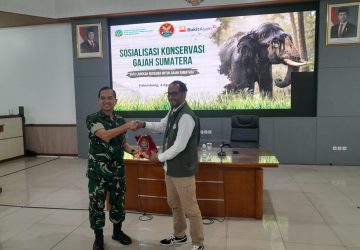 Selamatkan Gajah Sumatera, Korem 044/Gapo Dukung Penguatan Mitigasi Konflik Satwa dan Manusia