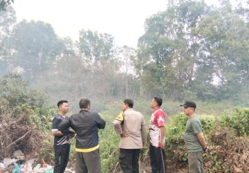 Belum Ditangani, Kebakaran Lahan di JSC Palembang Dikhawatirkan Meluas, Lurah Sentosa Cek Lokasi 7 Belum Ditangani, Kebakaran Lahan di JSC Palembang Dikhawatirkan Meluas, Lurah Sentosa Cek Lokasi