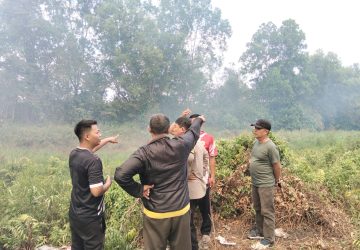 Lurah Sentosa Tegaskan Kebakaran Lahan Bukan di Wilayahnya, Melainkan Kawasan JSC yang Berbatasan 7 Lurah Sentosa Tegaskan Kebakaran Lahan Bukan di Wilayahnya, Melainkan Kawasan JSC yang Berbatasan