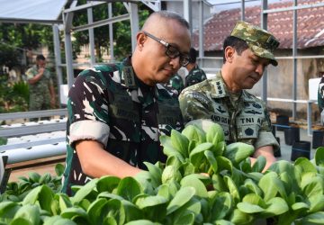 Danrem 044/Gapo Panen Hasil Urban Farming Gapo Farm, Wujud Nyata Ketahanan Pangan Berkelanjutan