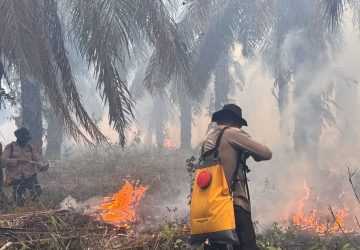 Cegah Karhutla Meluas, Personel Ditsamapta Polda Sumsel Lakukan Pemadaman di OKI
