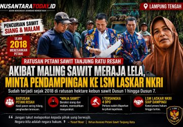 Maraknya Pencurian Sawit Resahkan Ratusan Petani Tanjung Ratu, LSM Laskar NKRI Diminta Dampingi Minta Keadilan