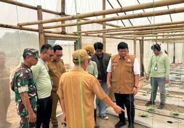 Inovasi Pertanian Digital: PLN Pertama Kali Hadirkan Smart Greenhouse Berbasis IoT di Banyuasin