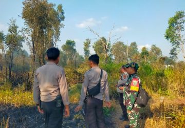 Babinsa Kemas Rindo Gerak Cepat Padamkan Kebakaran Lahan, Sekitar 5 Hektare Terbakar