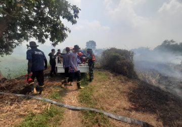 Babinsa Bukit Baru Gerak Cepat Monitoring Kebakaran Lahan Gambut, Setengah Hektare Terbakar