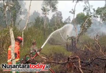 Babinsa Pulo Kerto Gerak Cepat Hadang Kobaran Api, 3 Hektare Lahan Terbakar