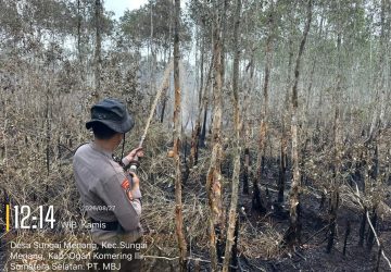 26 Personel Gabungan Padamkan Karhutla 9 Hektare di PT MBJ