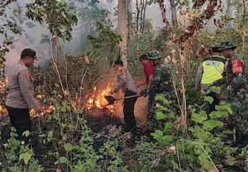 Gerak Cepat Kodim 0711/Pemalang Padamkan Karhutla 3,1 Hektare di Belik