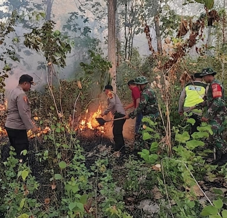 Gerak Cepat Kodim 0711/Pemalang Padamkan Karhutla 3,1 Hektare di Belik 6 IMG 20260829 WA0010