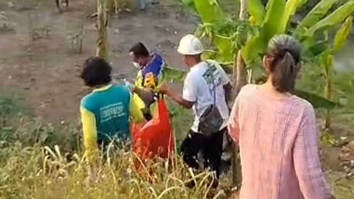Jenazah Pria Tergeletak di Area kobun Jalan Tol Pemalang 6