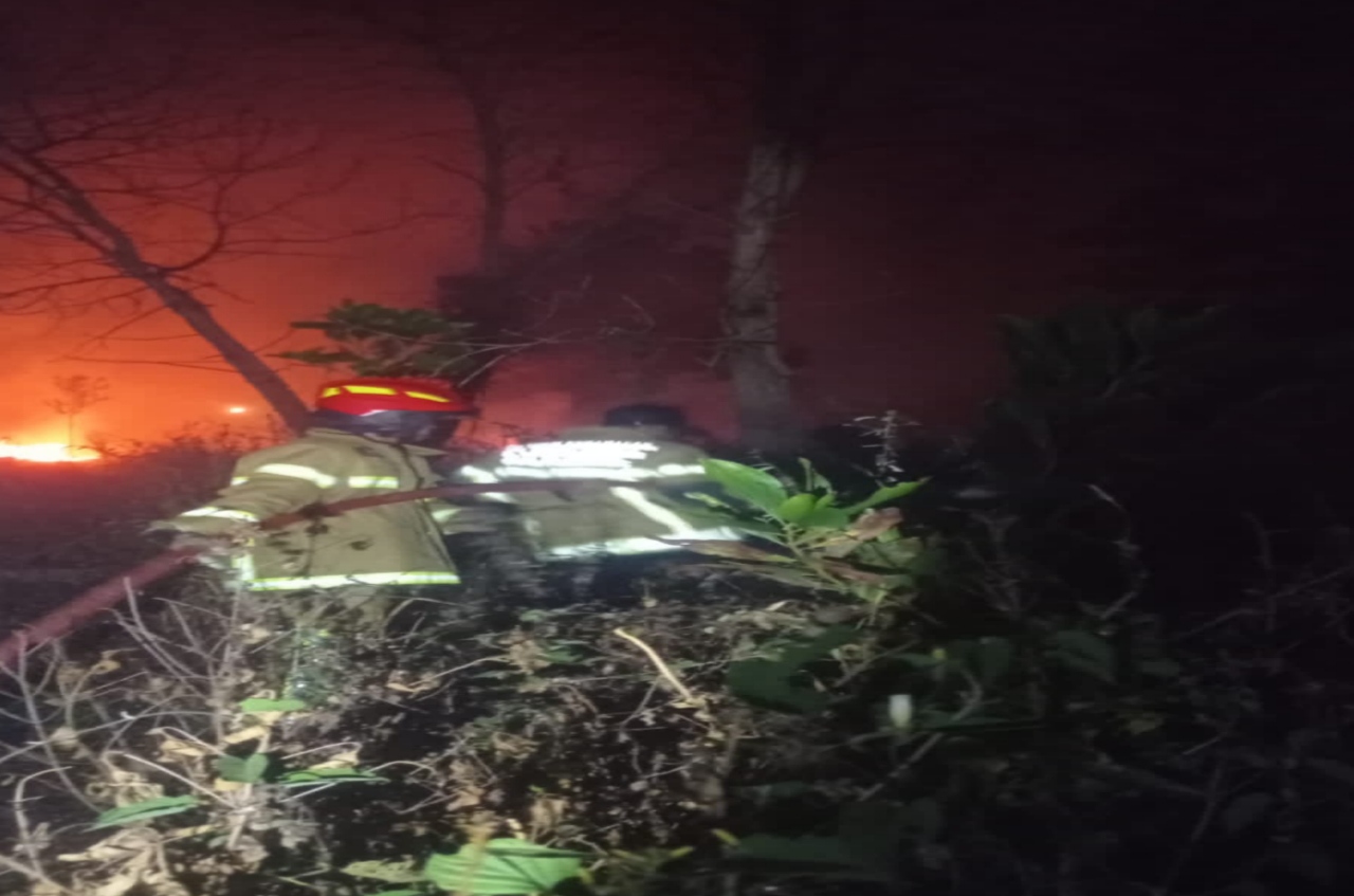 Lahan Kosong Eks Dermaga Pertamina di Plaju Terbakar, Api Padam Setelah 3 Jam 6 IMG 20260804 090541