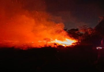 Satu Jam Berjihad Padamkan Api, Tim Damkar Gandus Palembang Amankan Lahan Terbakar di Bukit Baru 8 Satu Jam Berjihad Padamkan Api, Tim Damkar Gandus Palembang Amankan Lahan Terbakar di Bukit Baru