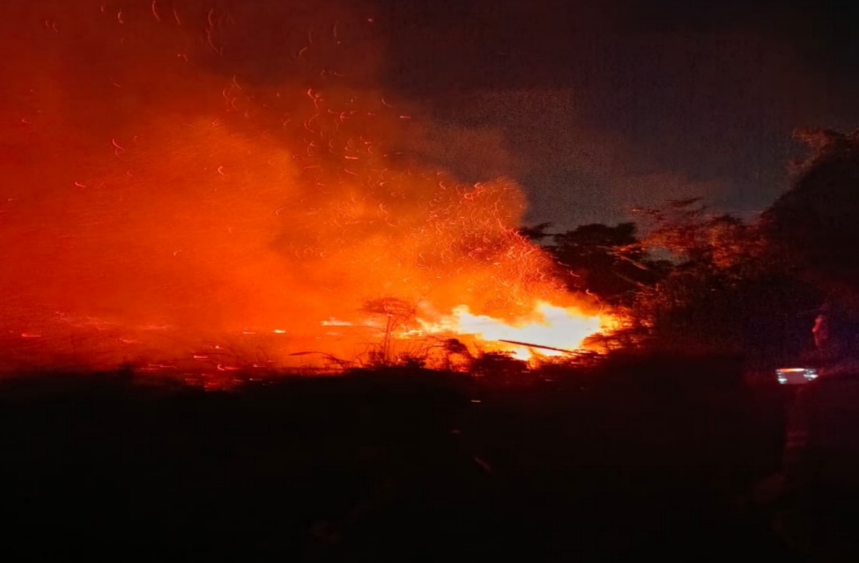 Satu Jam Berjihad Padamkan Api, Tim Damkar Gandus Palembang Amankan Lahan Terbakar di Bukit Baru 6 IMG 20260810 222020