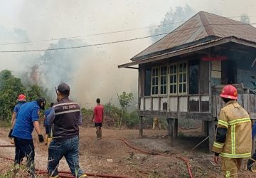 Amukan Si Jago Merah di Belakang Bank Sumsel Babel Nyaris Melalap Rumah Warga