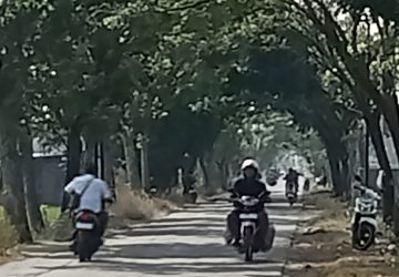 Cuaca Ekstrim Melanda Pemalang, Jalan Ternate Jadi Jalur Favorit Warga Melintas