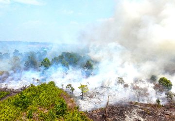 Karhutla Berulang Tanpa Sanksi Tegas, Potret Impunitas Korporasi Raksasa di Kalbar