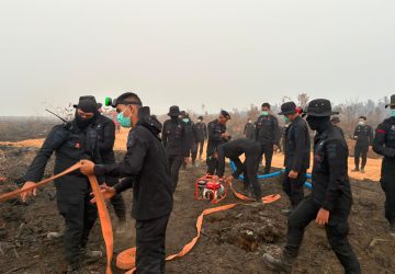 Satgas Karhutla Polda Sumsel Perkuat Penanganan Bara di Lahan Gambut Gelumbang